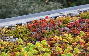 the cost of Rhostryfan green roof installation