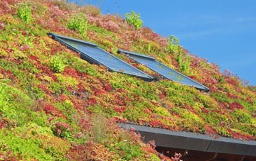 Rhostryfan living roof systems