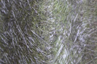 Rhostryfan fibreglass roof work